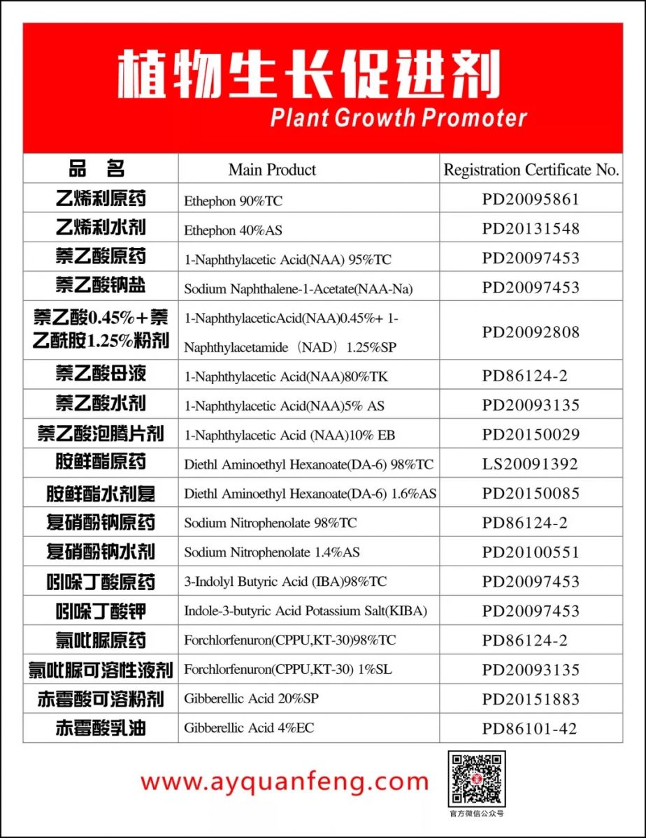 米乐M6·(中国游)官方网站